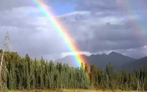 Rainbow of love from Chrome web store to be run with OffiDocs Chromium online Rainbow of love from Chrome web store to be run with OffiDocs Chromium online