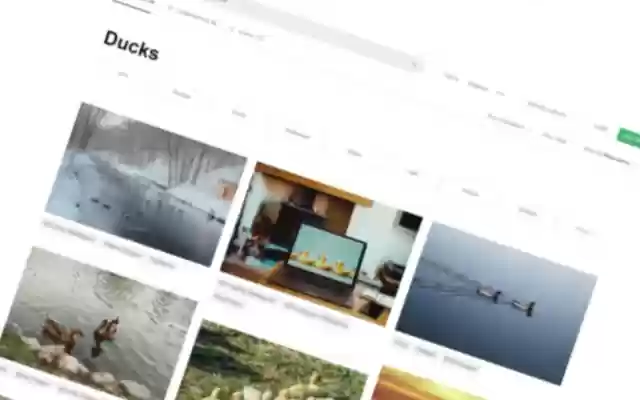 Read All About It! from Chrome web store to be run with OffiDocs Chromium online Read All About It! from Chrome web store to be run with OffiDocs Chromium online