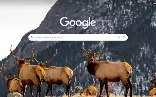 Rocky Mountain Elk Gathering from Chrome web store to be run with OffiDocs Chromium online Rocky Mountain Elk Gathering from Chrome web store to be run with OffiDocs Chromium online