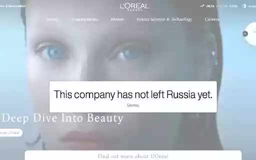Russia Company Checker from Chrome web store to be run with OffiDocs Chromium online Russia Company Checker from Chrome web store to be run with OffiDocs Chromium online