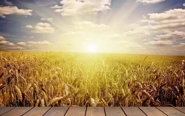 Rye and Sun from Chrome web store to be run with OffiDocs Chromium online Rye and Sun from Chrome web store to be run with OffiDocs Chromium online