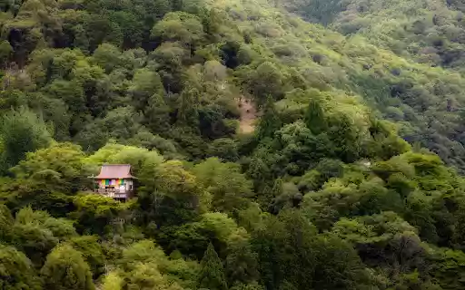 Sacred temple in deep forest from Chrome web store to be run with OffiDocs Chromium online Sacred temple in deep forest from Chrome web store to be run with OffiDocs Chromium online