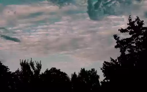 Silhouetted Trees Against Cloudy Sky from Chrome web store to be run with OffiDocs Chromium online Silhouetted Trees Against Cloudy Sky from Chrome web store to be run with OffiDocs Chromium online
