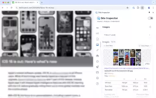 Site Inspector from Chrome web store to be run with OffiDocs Chromium online Site Inspector from Chrome web store to be run with OffiDocs Chromium online
