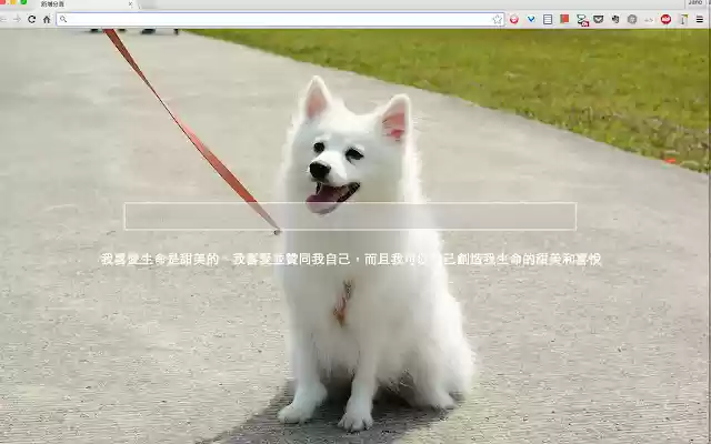 Slogan from Chrome web store to be run with OffiDocs Chromium online Slogan from Chrome web store to be run with OffiDocs Chromium online