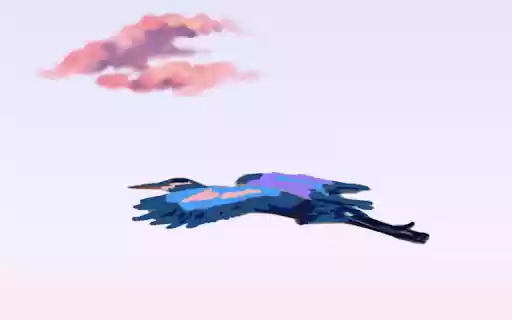 Sunset Birds !! from Chrome web store to be run with OffiDocs Chromium online Sunset Birds !! from Chrome web store to be run with OffiDocs Chromium online