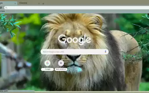 Su Tu from Chrome web store to be run with OffiDocs Chromium online Su Tu from Chrome web store to be run with OffiDocs Chromium online