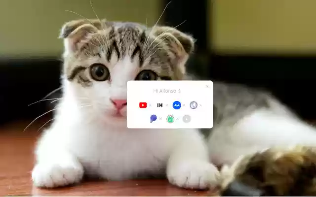 Tabby Cat New cats with each new tab from Chrome web store to be run with OffiDocs Chromium online Tabby Cat New cats with each new tab from Chrome web store to be run with OffiDocs Chromium online
