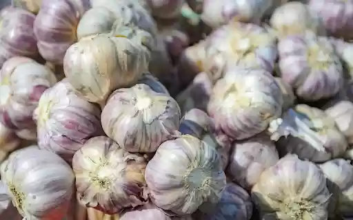 The purple radishes are delicious from Chrome web store to be run with OffiDocs Chromium online The purple radishes are delicious from Chrome web store to be run with OffiDocs Chromium online