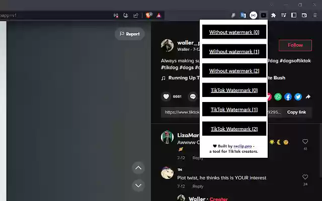TikTok Video Downloader by reclip.pro from Chrome web store to be run with OffiDocs Chromium online TikTok Video Downloader by reclip.pro from Chrome web store to be run with OffiDocs Chromium online