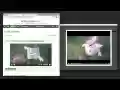 Turbo Download Manager (Classic) from Chrome web store to be run with OffiDocs Chromium online Turbo Download Manager (Classic) from Chrome web store to be run with OffiDocs Chromium online