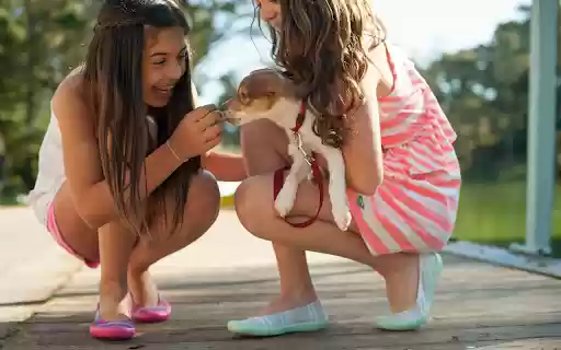 Two girls holding dogs from Chrome web store to be run with OffiDocs Chromium online Two girls holding dogs from Chrome web store to be run with OffiDocs Chromium online