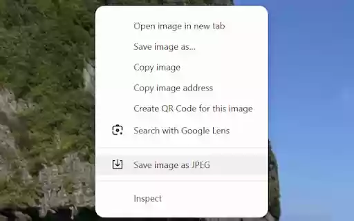 WebP to JPEG Converter from Chrome web store to be run with OffiDocs Chromium online WebP to JPEG Converter from Chrome web store to be run with OffiDocs Chromium online