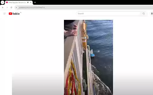 YT Shorts Redirect from Chrome web store to be run with OffiDocs Chromium online YT Shorts Redirect from Chrome web store to be run with OffiDocs Chromium online